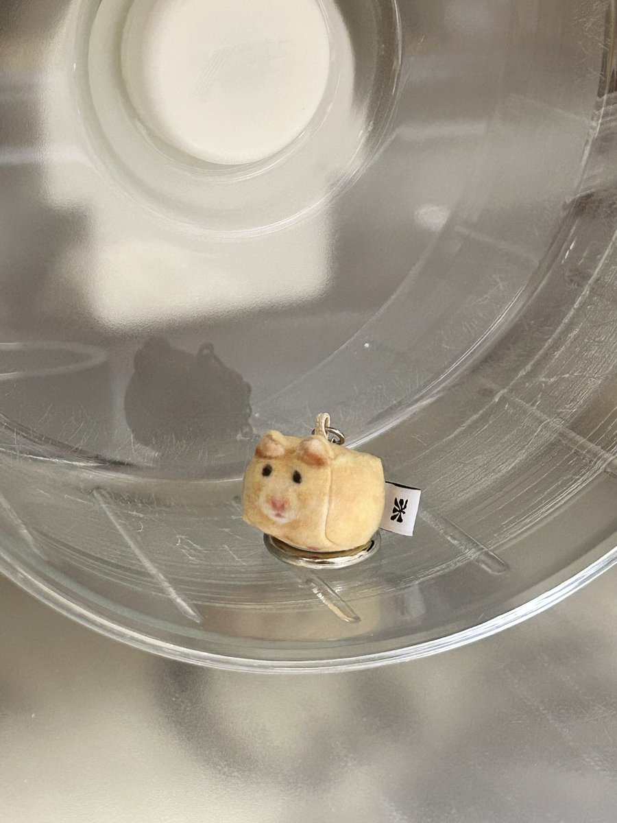 tmk26945557's tweet photo. ソフトサムネイル様(@softthumbnailjp)からプレゼント企画でハムちゃん(Mango Golden hamster)のキーホルダーを頂きました❗️
本物のような愛らしさです……💕
ありがとうございました😭
#softthumbnail
#MangoGoldenhamster
#PR https://t.co/MKMzhGV3Fv