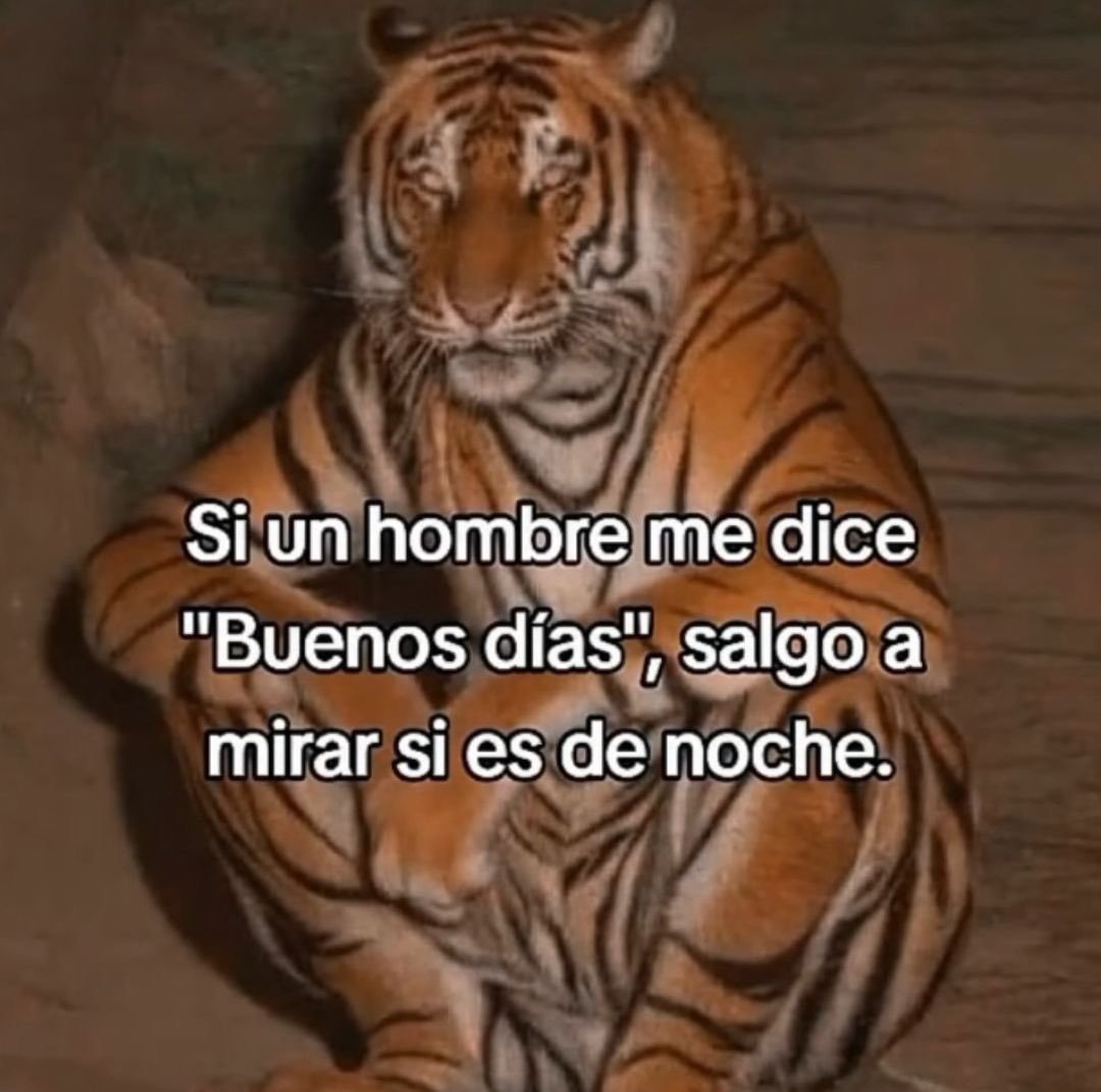 jeesssg's tweet photo. Nunca NUNCA falla 😅 https://t.co/XfPZ6bteCr