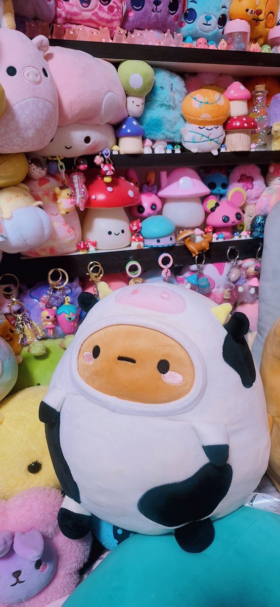 Miichel701's tweet photo. #smoko #smokopotato #potato #cowboy #tayto #taytopotato #toycollector #collectibles #kawaii #plush #plushies #plushcore #stuffed #stuffedanimal #stuffedanimals #plushcollection #plushcollector #collection #collector #collectibles #toy #toys #smokoinc #cow #potatocow #cowpotato https://t.co/EWfVUilhky