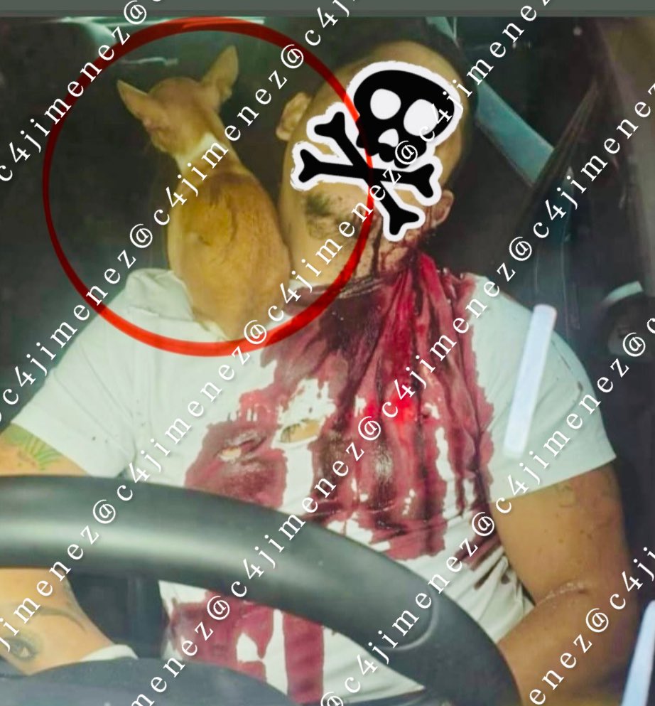 c4jimenez's tweet photo. SE le ESCAPÓ a LA POLICÍA en MARZO, HOY lo MATARON
Ahí quedó sin vida Luis Rodriguez el Chilaquil de la Unión.
En el hombro estaba su perro.
En marzo @SSC_CDMX cateó su casa en @TuAlcaldiaGAM
Detuvo a su esposa, pero él se escapó.
Hoy sicarios lo mataron a balazos en Peralvillo.
@FiscaliaCDMX ya buscan a los responsables.

El caso #C4EnAlerta