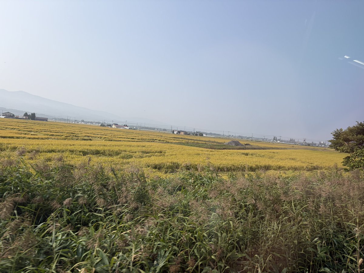 KERORI15's tweet photo. 深川市参上!!!!
 #島太星 https://t.co/8uGBamDSvW