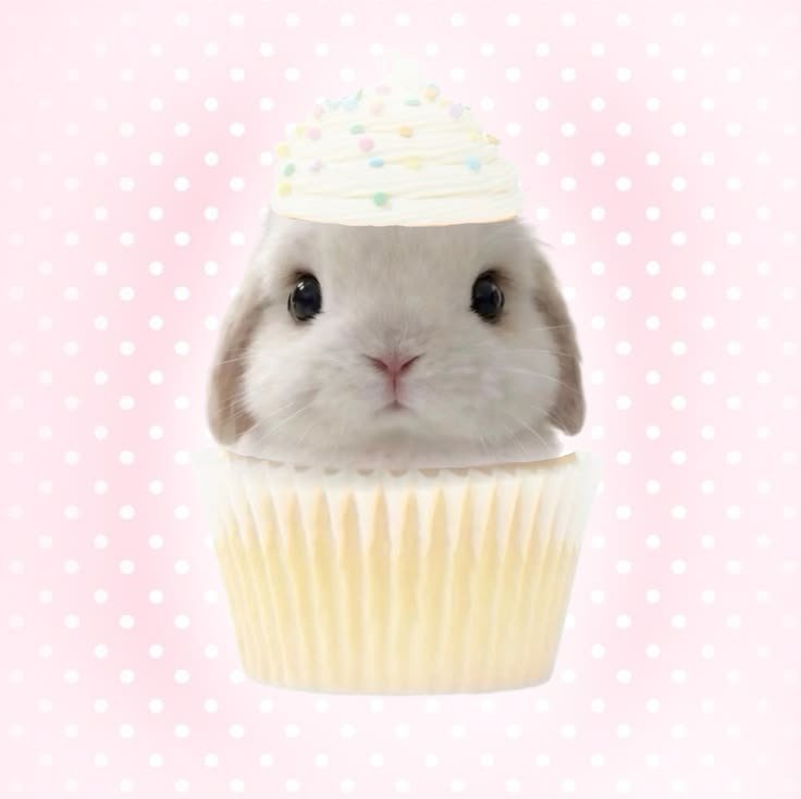 milktea__berry's tweet photo. ﾠﾠﾠﾠﾠﾠyes!,  I  am  a  little  cupcake https://t.co/bFBlfojike