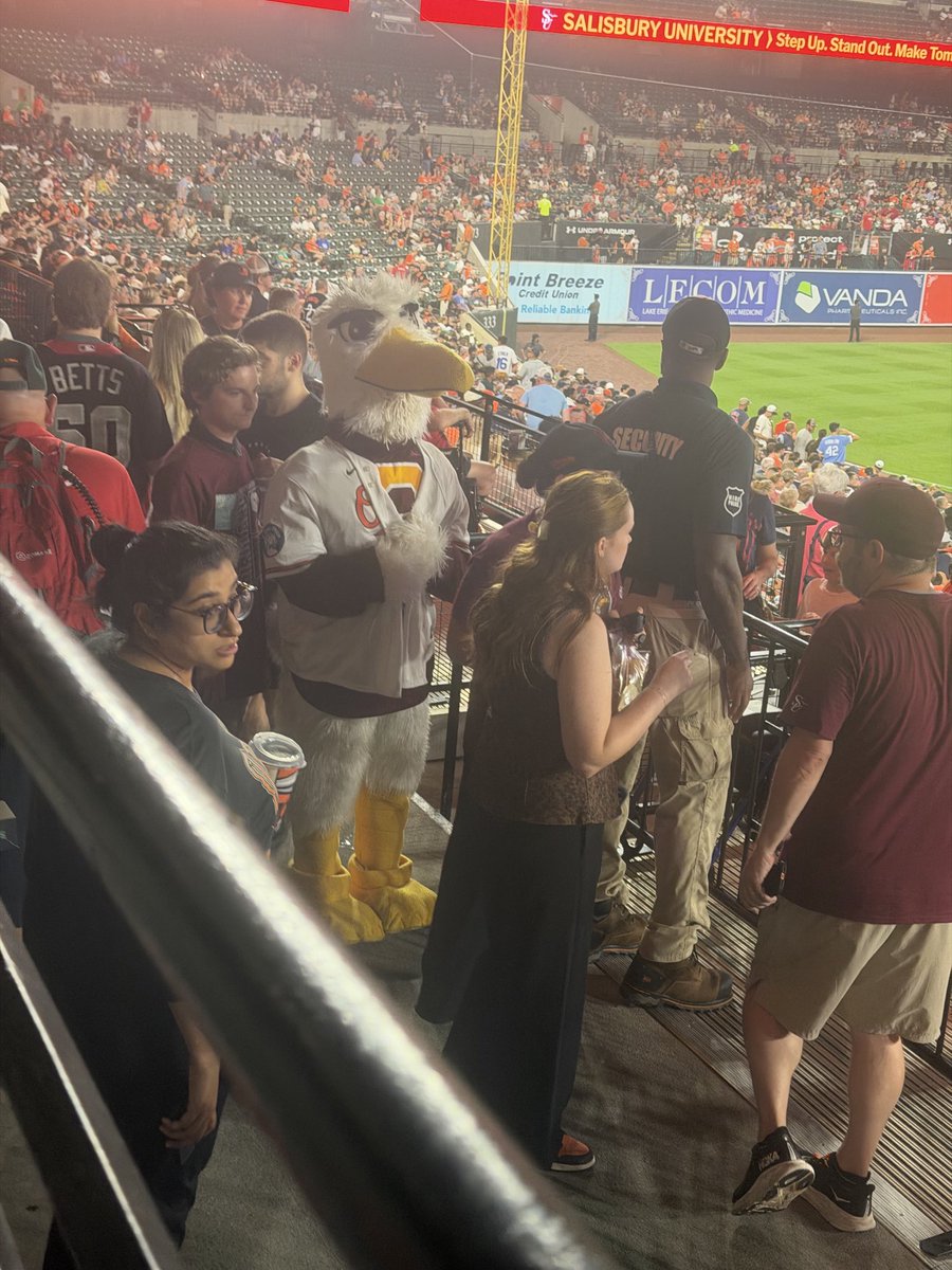 DCSportsMark's tweet photo. Seagull sighting at the @Orioles game. #FlockUp https://t.co/XaIqiKdUDo
