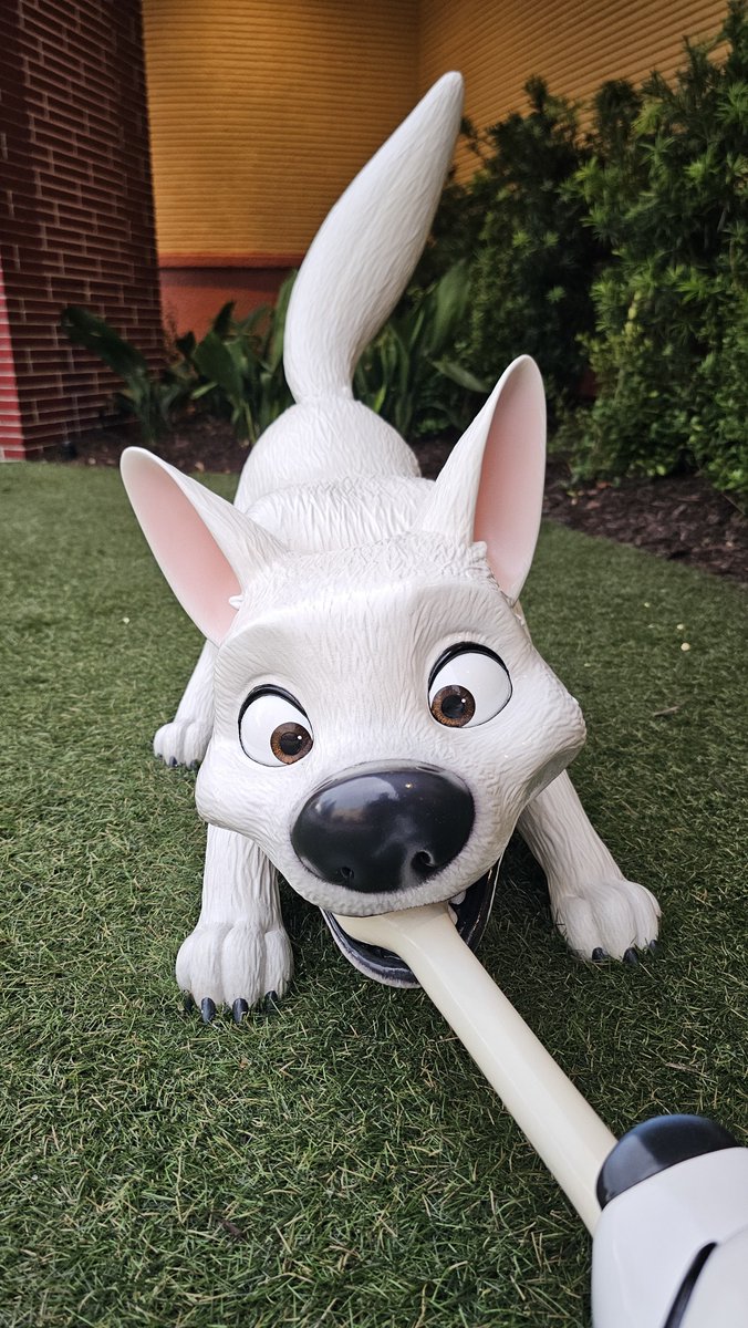 DrewDisneyDude's tweet photo. New characters have arrived in The Walt Disney Studios at Disney’s Hollywood Studios! Say hi to Bolt, the Dalmatians, Meeko, and Bruni. 👋 https://t.co/NIunxvcrE1