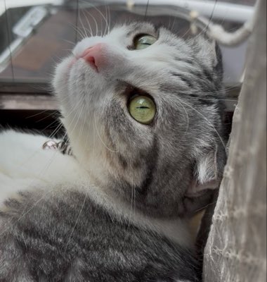 tamapoppo's tweet photo. #新しいプロフィール画像 https://t.co/XkmIRxCQw7