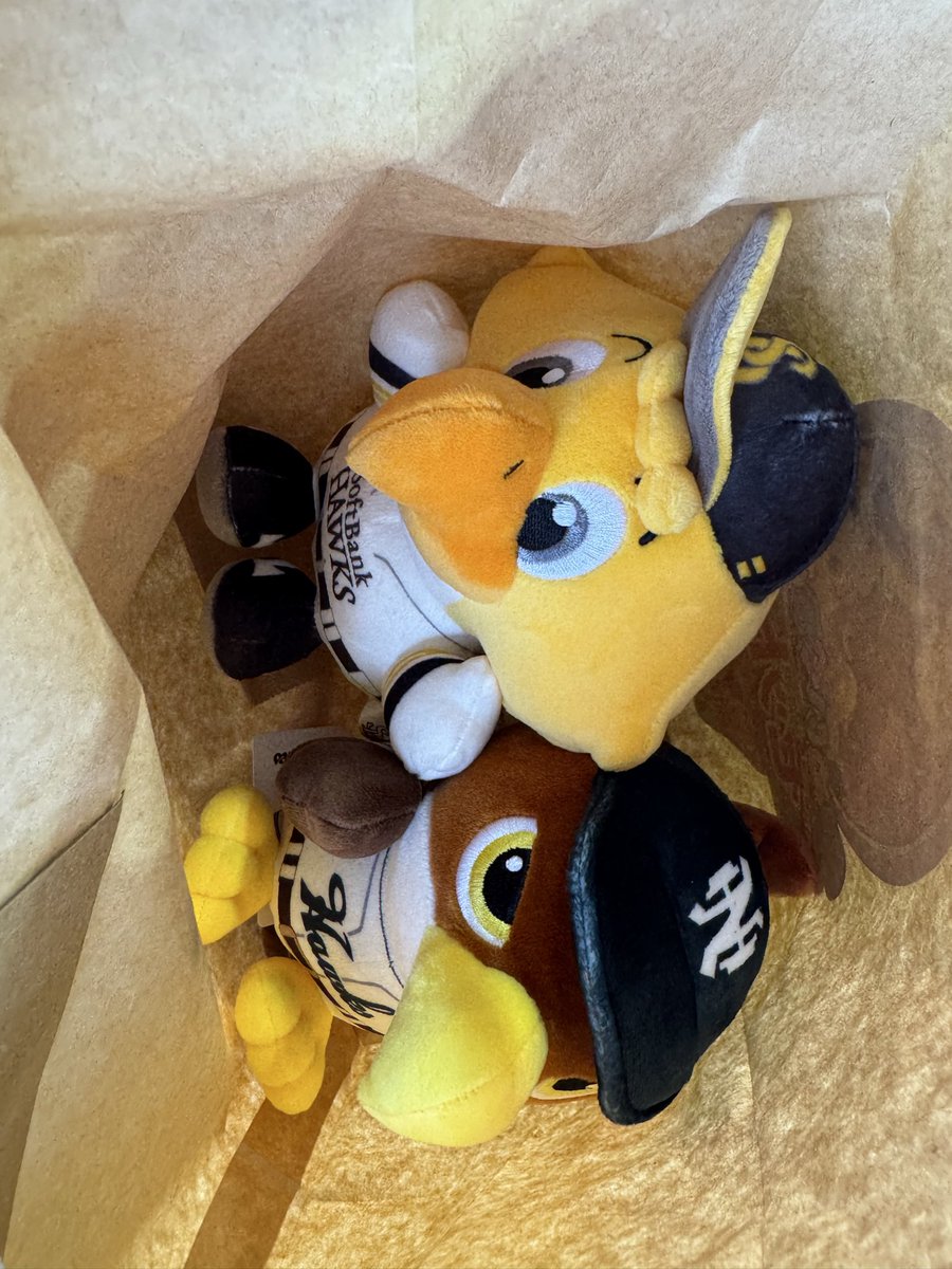 twice_mii's tweet photo. ホークス タカぬい 交換

【譲】ハリーくん

【求】ハリーくん以外

9/5PayPayドームでの手渡しのみ
お気軽にお声がけください⚾️ https://t.co/JNDbDKYI5H