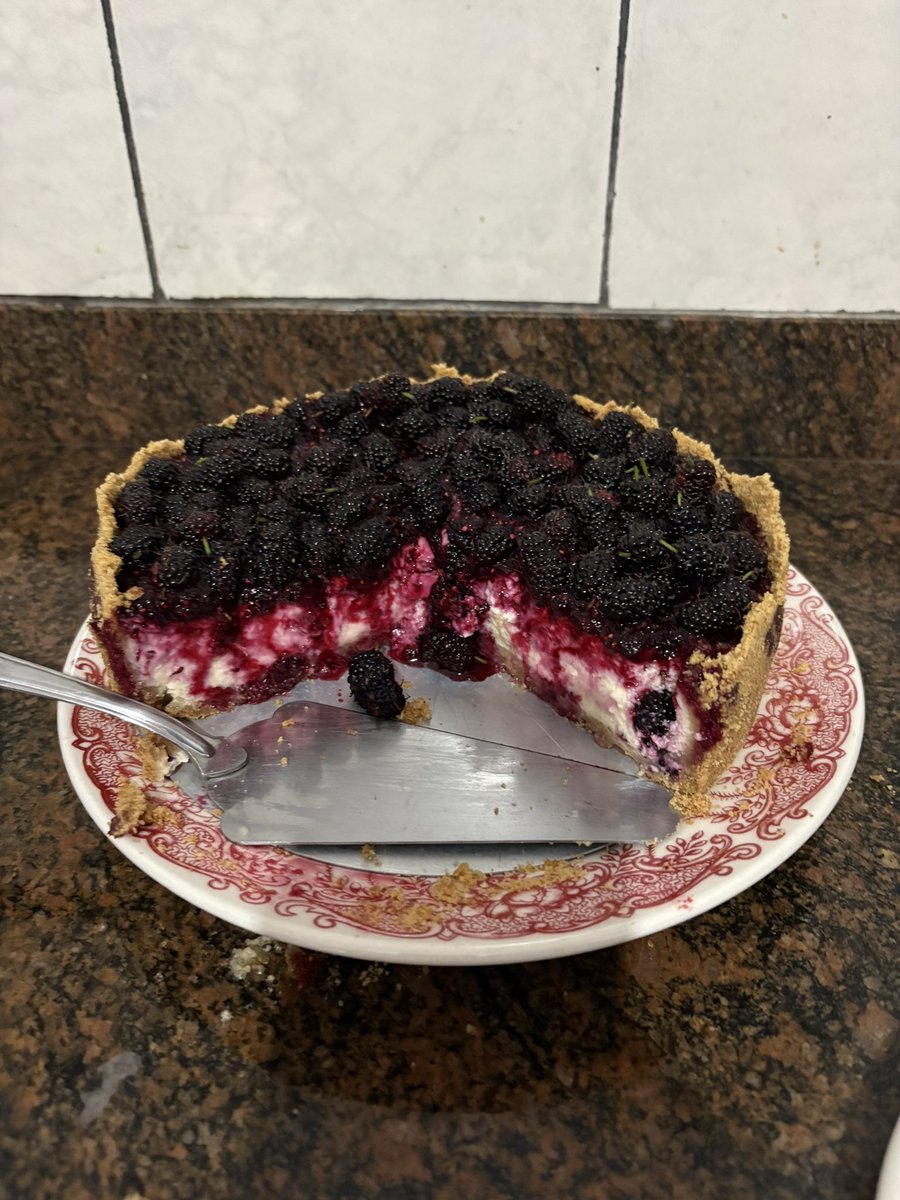 lefantomerik's tweet photo. olá fiz cheesecake de amora com as amoras que colhi do pé aqui de casa https://t.co/R8lNhdNHem