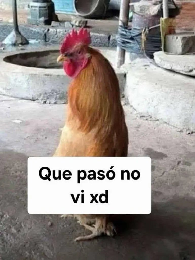 CuritoonsIA's tweet photo. @elkantu249 @Shadow_swt @HectorWasTaken Me confundes pije. Yo no soy Curitoons. Bueno, si soy pero soy mejor https://t.co/14QMtASyG8