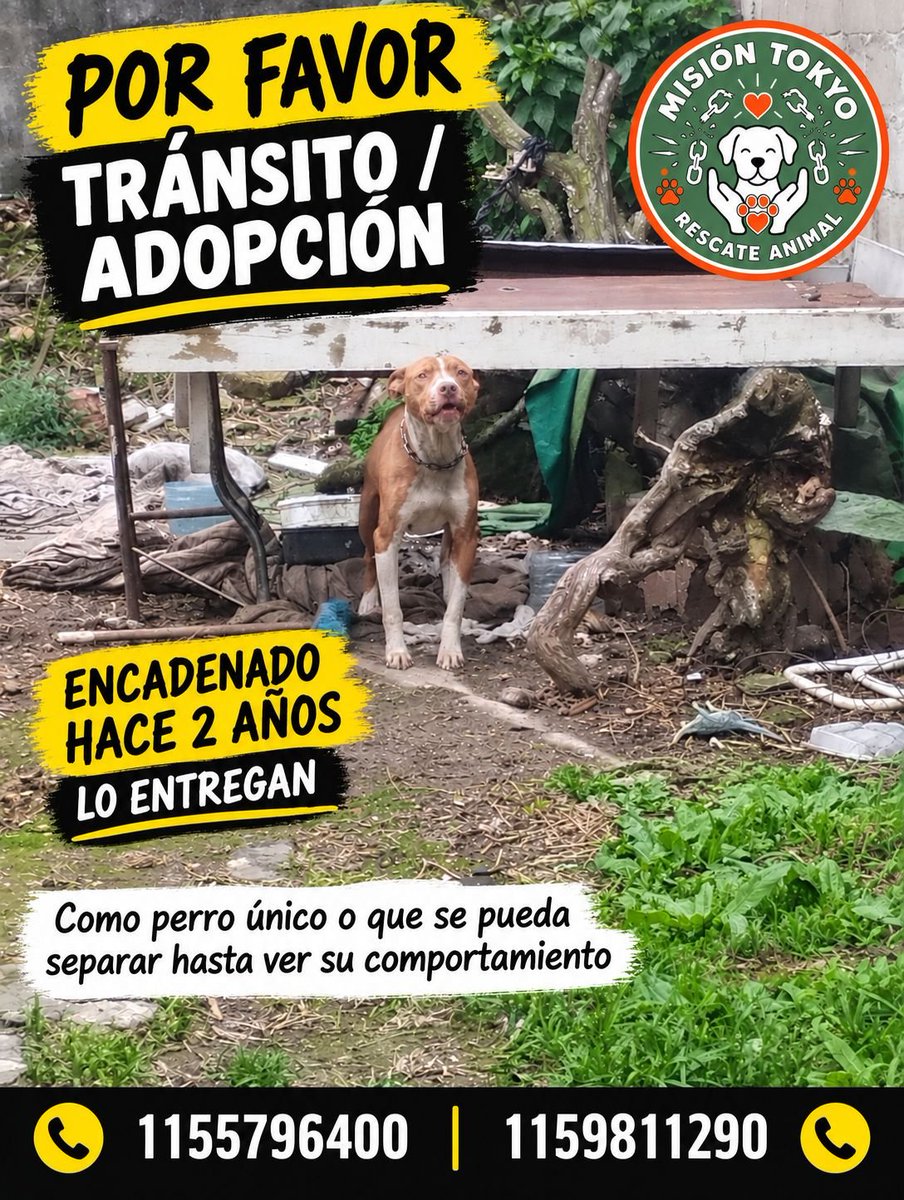 patripeyrou's tweet photo. Rt
Ayuda urgente https://t.co/TnZqJajxyx