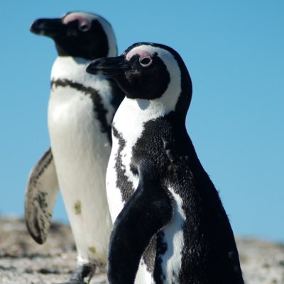 RCALLRCALL's tweet photo. #新しいプロフィール画像 https://t.co/IVN8Lbr08i