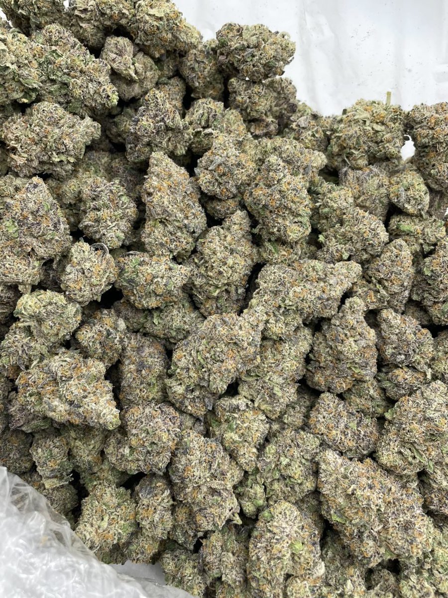 BHorizonzbu's tweet photo. Applescotti 
#NashvilleTn #615plug #Nashvilleplug https://t.co/VfmoUZokqn