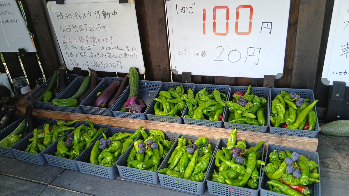 tanemaki_ojisan's tweet photo. マズいよ～

ししとうが最盛期で採れすぎて在庫が増えてます

とりあえずオマケにぶどうを付けて少しでも売れないか試してみる

#家庭菜園
#無人販売
#ししとう
#甘とう美人 https://t.co/VGVDtQ3TpB