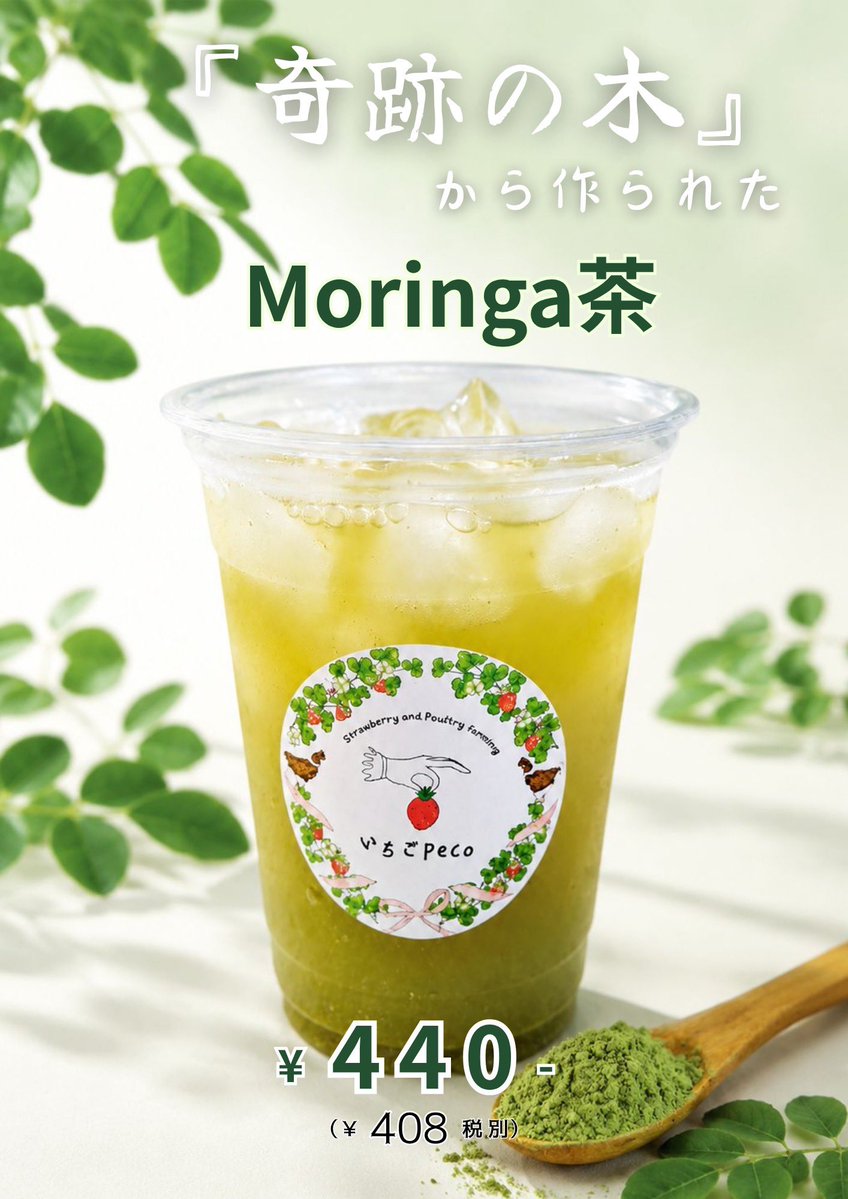 TomoyaFarmSt's tweet photo. 本日からモリンガ茶、再販致します🌿
ともや農場で育ったモリンガを一つ一つ手摘みで収穫しお店で乾燥して焙煎にして粉末にするまで全て手作業で行っております。
モリンガは90種類もの栄養素を含む栄養価の高い植物として知られてるんですよ！

※妊婦の方には販売できませんので予めご了承ください。 https://t.co/vpuaWpypoi