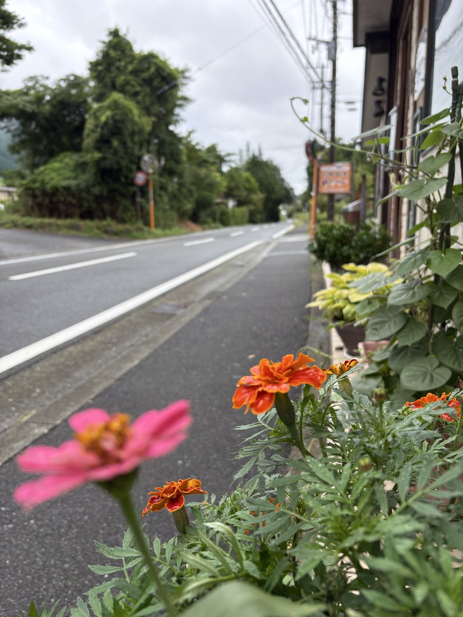 uosei2007's tweet photo. おはようございます✨
9月5日(土)
仙石原は曇り☁️です
気温は22℃〜
変わりやすい天気になりそうです🌂

今朝、小田原漁港で鯵・マグロ・サザエなど仕入れてきました🐟✨
さらに地元の美味しいお米も。

皆様のお越しをお待ちしております！
良い週末を‼️

宜しくお願い致します🙇🏽‍♀️🙇‍♂️

#箱��
#hakone https://t.co/Z22yNc31cs