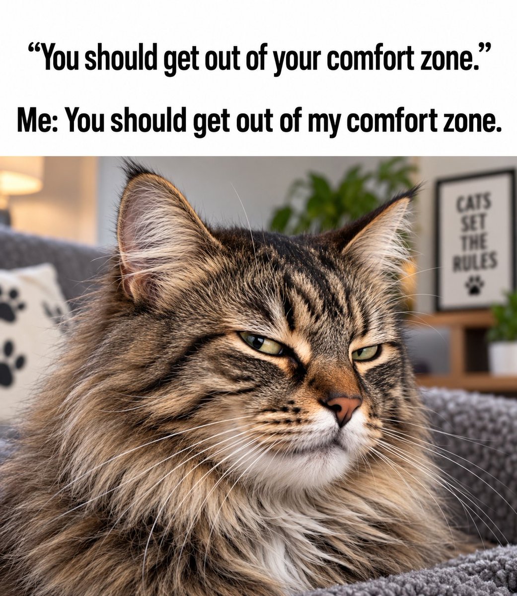 BriaMo777's tweet photo. Anyone else feel this way, or is it just me? 🤔 https://t.co/ZckOctQsAA