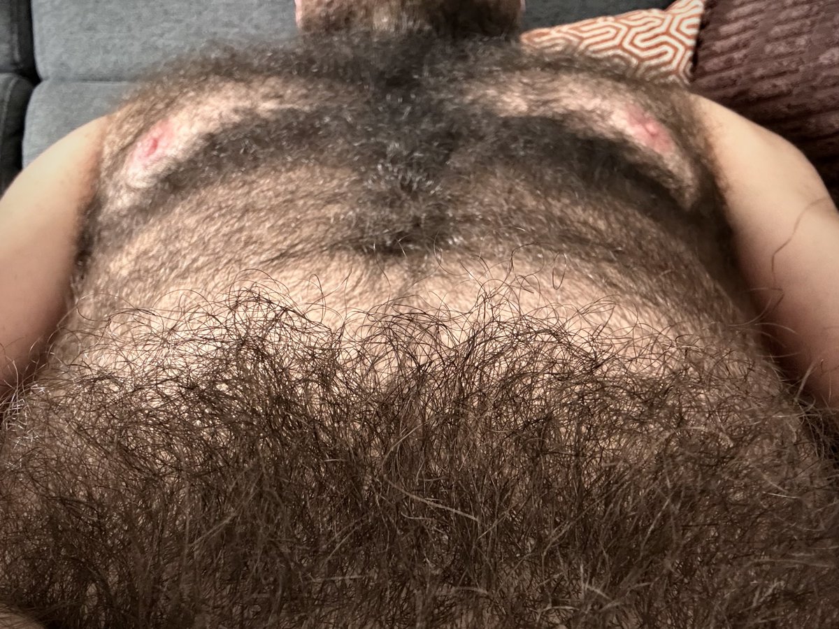 85Otter's tweet photo. Furry landscape https://t.co/gxpGMEs6In