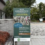 Photo by 野生動物病理学 Wildlife Pathology (@WildlifePathol)