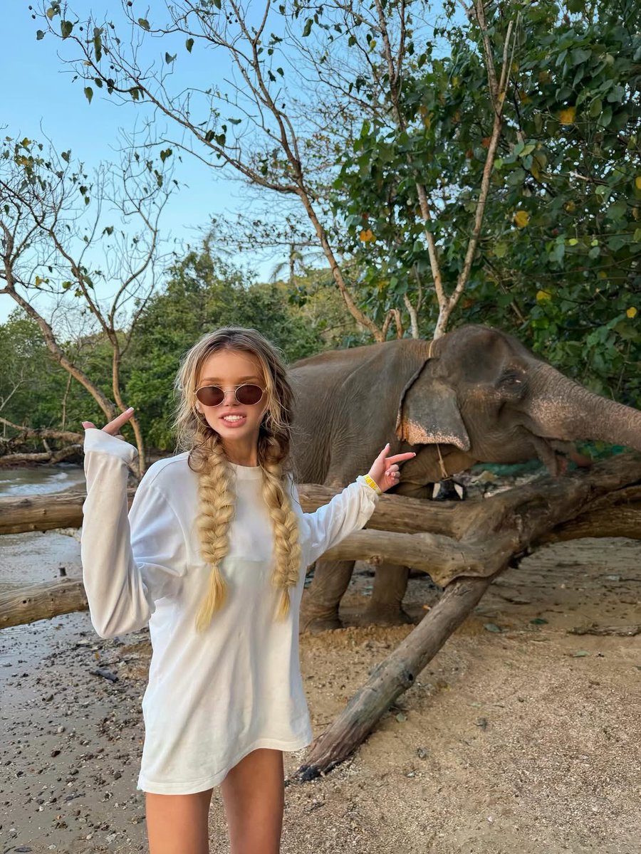 Rayson_47's tweet photo. The earth feels kinder here 🐘🤍 https://t.co/rNTbcytpCV