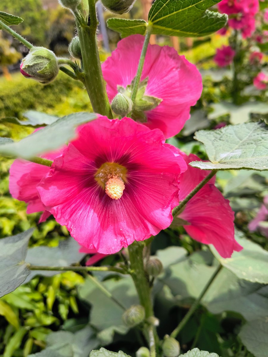 Kpgour72's tweet photo. अब डर घाव से नहीं, 
लोगों के झूठे लगाव 
से लगता है..!!

सुप्रभात.. 🌹
Good Morning Fnds.. 🌹🌹 https://t.co/PF2pn2PDZQ