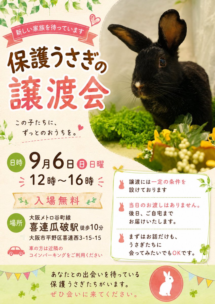 usagisummit1's tweet photo. 明日は保護うさぎの譲渡会です。
まずは、お話だけもナデナデだけもOKです。
会いに来てくださいね。
ご都合悪い方は、平日＆夜間の個別面会も常時受付しています。
※当日のお渡しはありません。後日お届けになります。
※譲渡には一定の条件を設けています。
#保護うさぎ
#うさぎ
#大阪 
#平野区 https://t.co/vIklWdGL6F