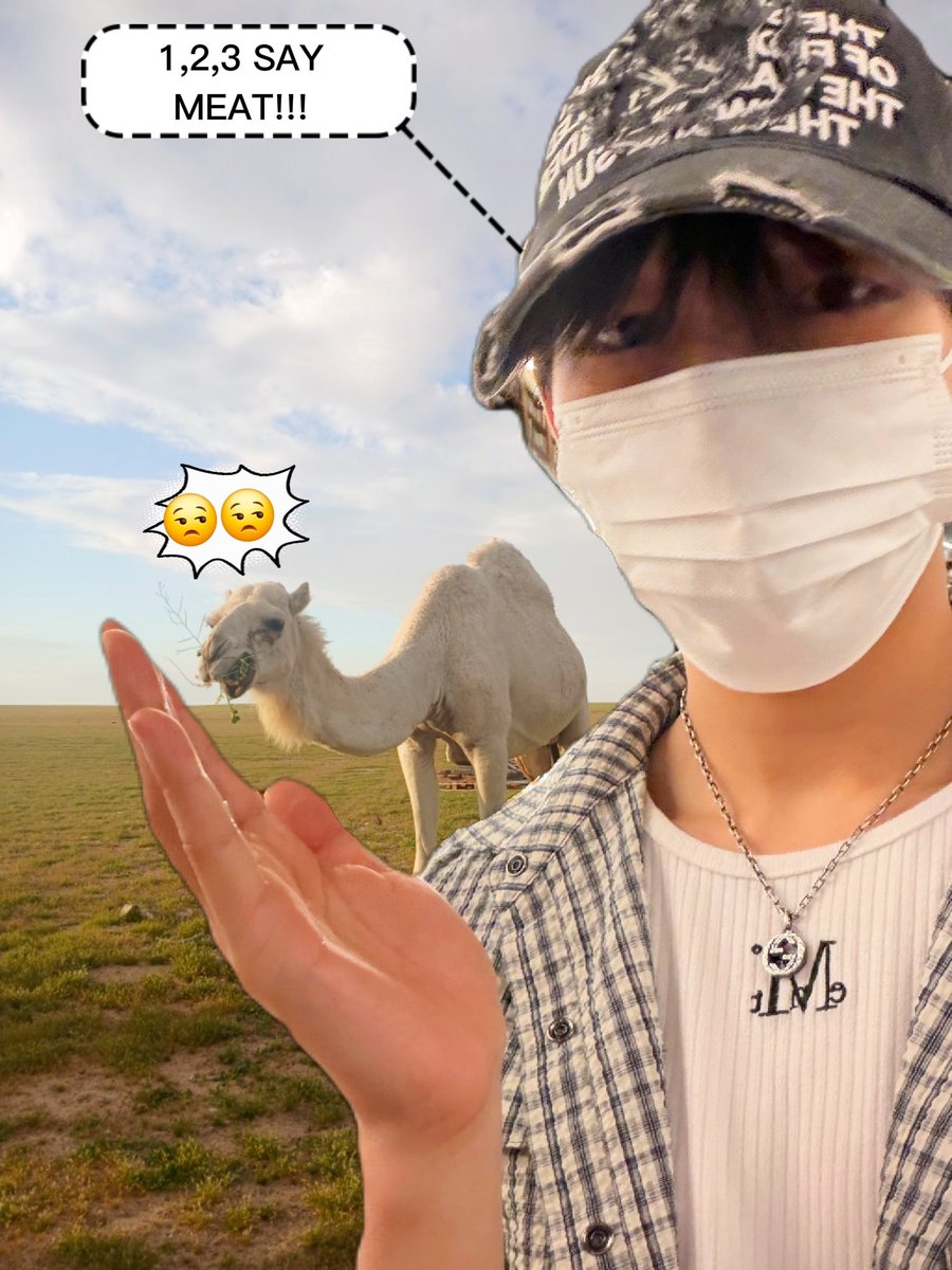 exol1485_ahof's tweet photo. Camel (come and) explore the world with me! Say MEAT!
#StevenTakeMeThere
#STEVEN #์คํฐ๋ธ https://t.co/AtfnHSUA9e