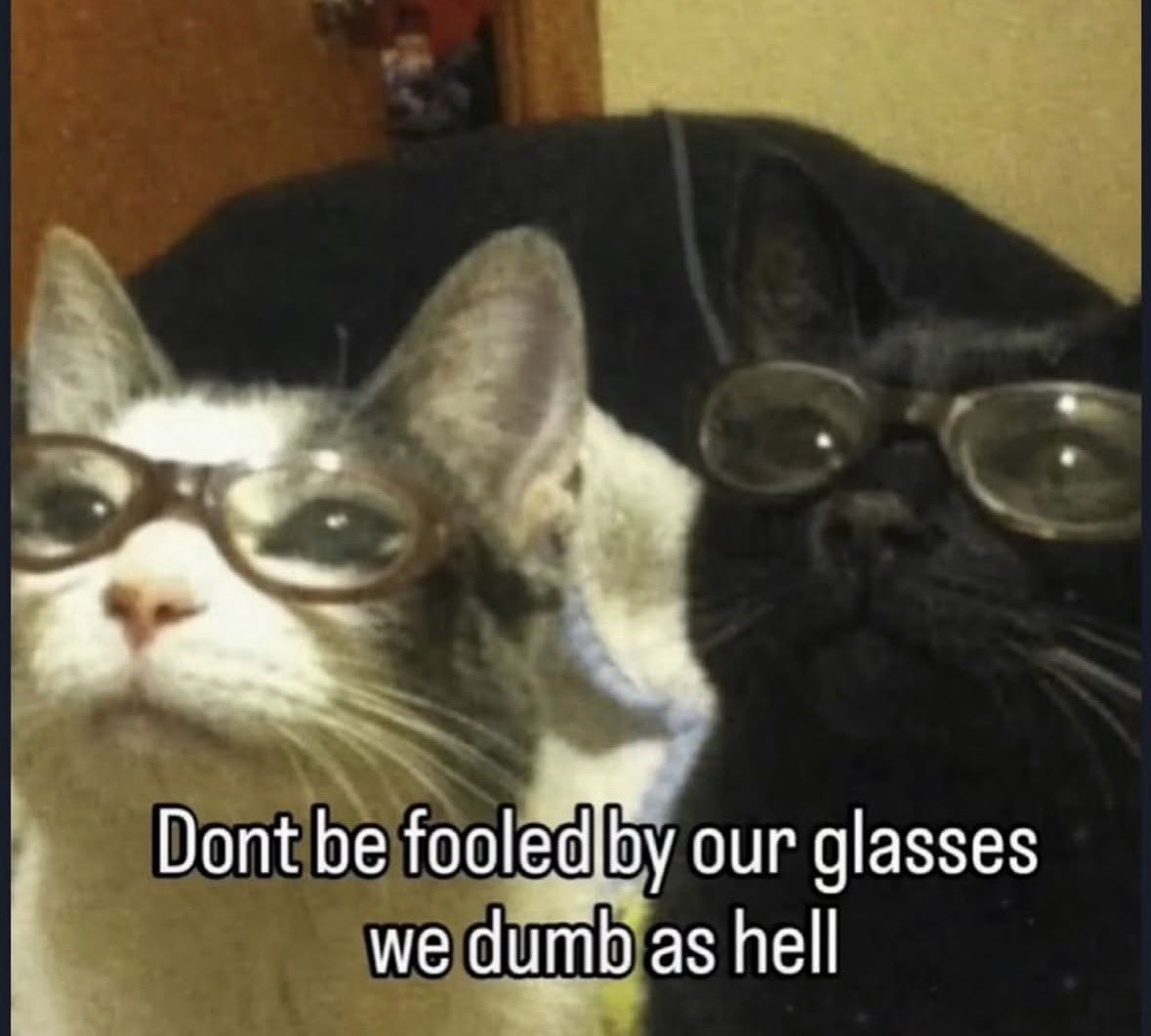 literallymecats's tweet photo. https://t.co/zg429gjcbi