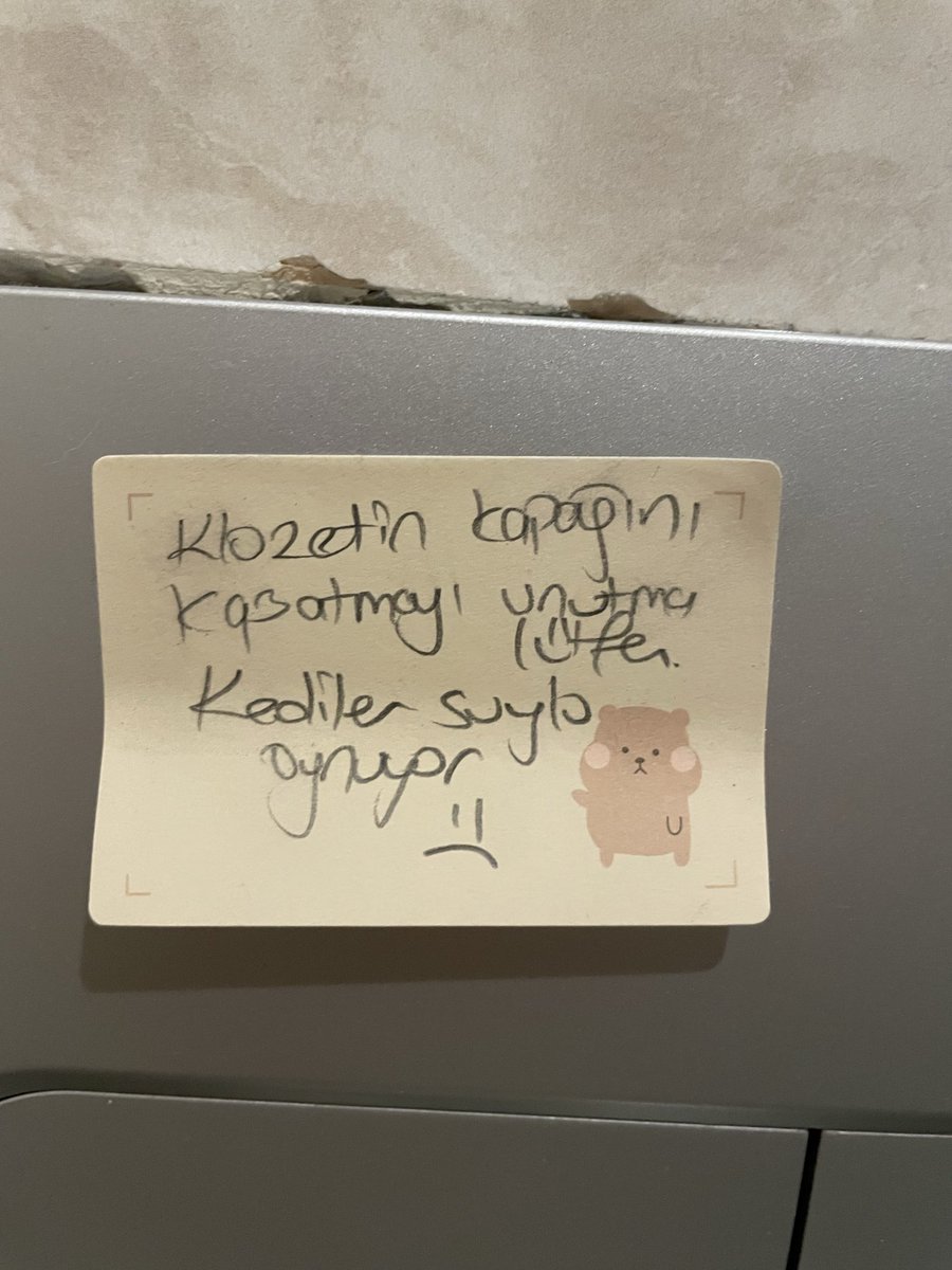 no9evdeyokus's tweet photo. bi hafta kuzenim bende kalıp kedilere bakacağı için ona minik sürprizler hazırladım https://t.co/nTiLYxUPaO
