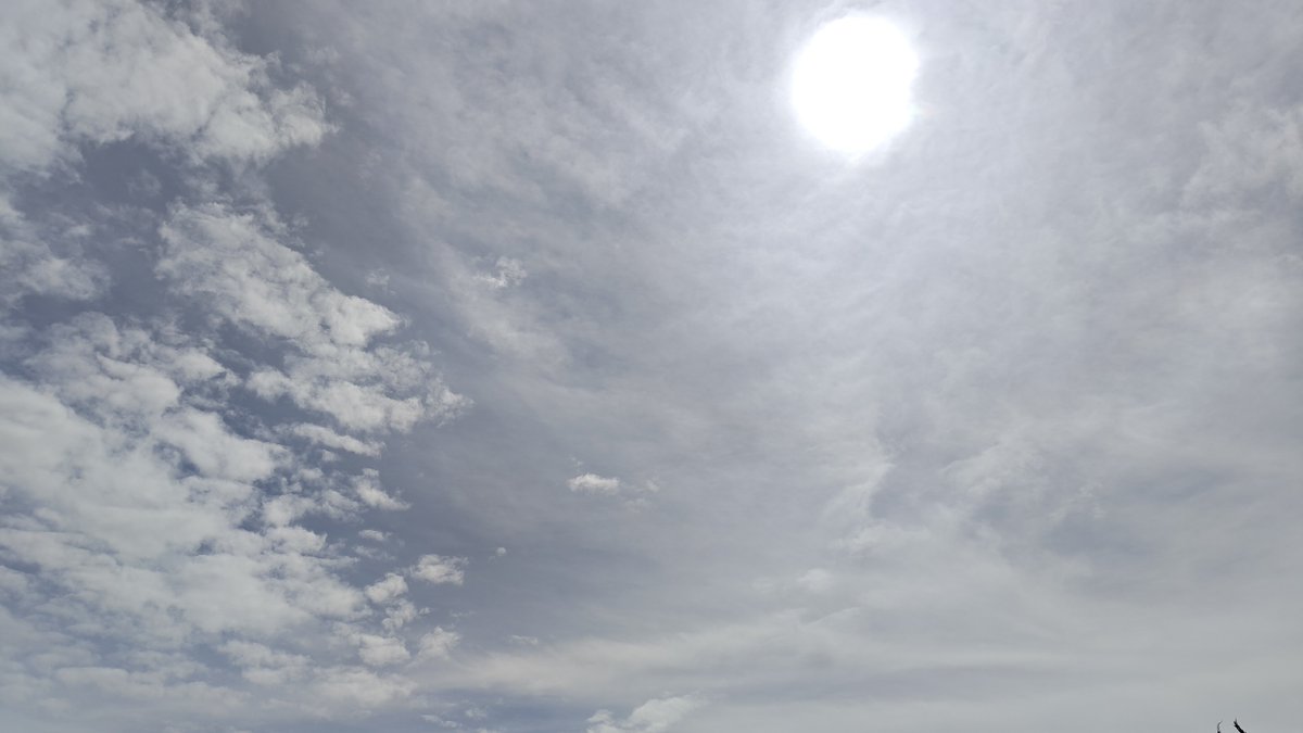 46_cotton's tweet photo. 熊本の天候は少し落ち着き、晴れ間の差し込むcloudy day🌤️️
今日は様子を見ながら宮崎入りの予定！

腹ごしらえに、朝から営業のリーフバーガーさん
釜から漂うスモーキーな香りが心地よく😌
圧倒的ボリューム感のソーセージバーガー(ダブル)…！😋

#ひなたフェス2026
#日向坂46
#てげ楽しむど九州旅 https://t.co/EILiV68FUi