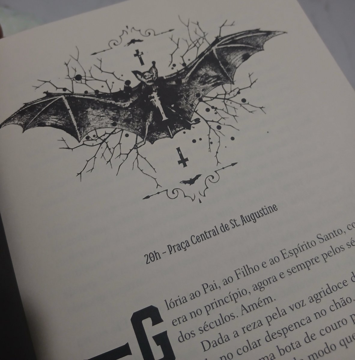 Lya_rango's tweet photo. Fico encantada com a beleza de certos livros... https://t.co/LGZsruaCVo