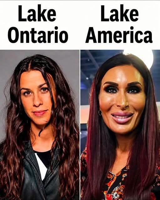 JamesTate121's tweet photo. Now that is funny. 🤣 https://t.co/n1wrHEpBSZ