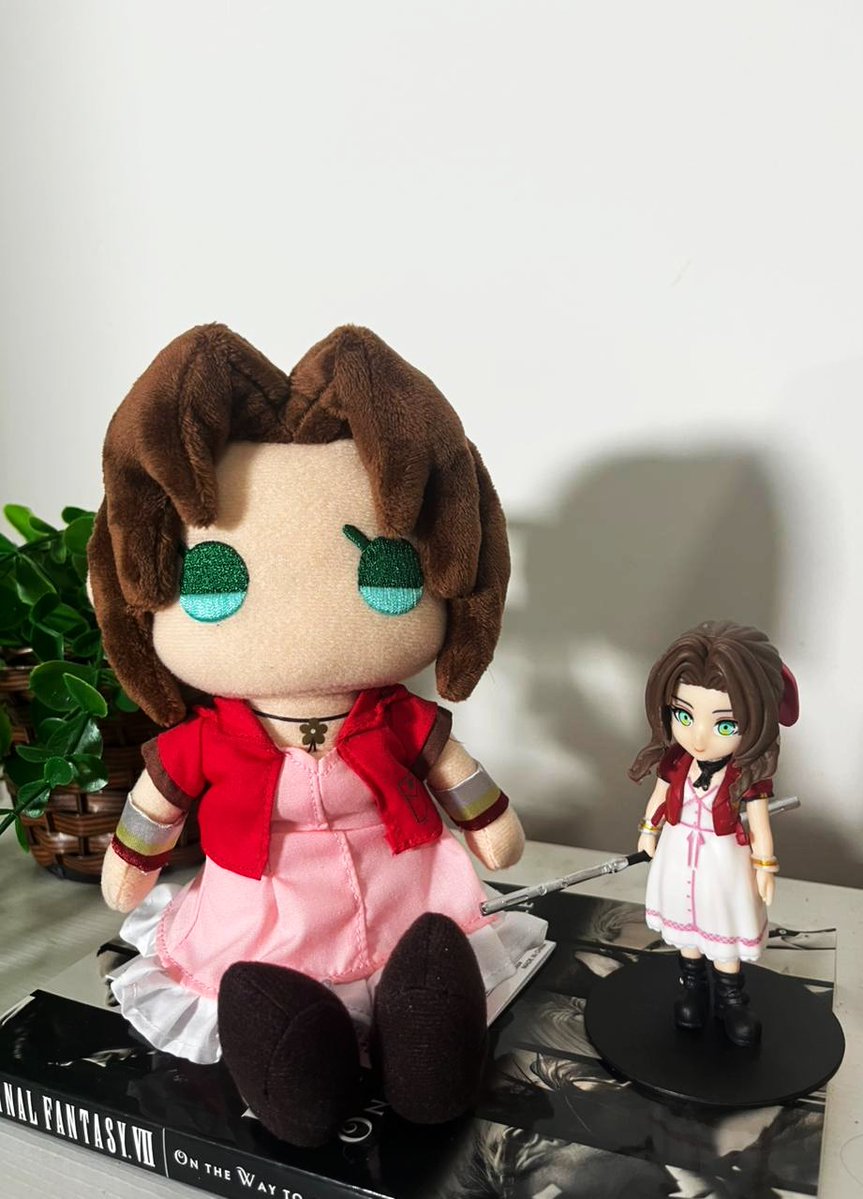 aerissth's tweet photo. minha pelúcia da aerith chegou 🫶🏼🫶🏼🌸🌸🥺🥹🩷🩷 https://t.co/BN2pc1gzUY