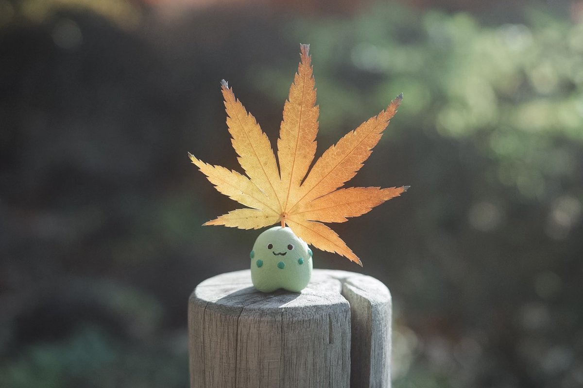 shigemochi_kun's tweet photo. いろんな葉っぱを生やせるチコリータの置物を作りました https://t.co/6XYHnZBu8F