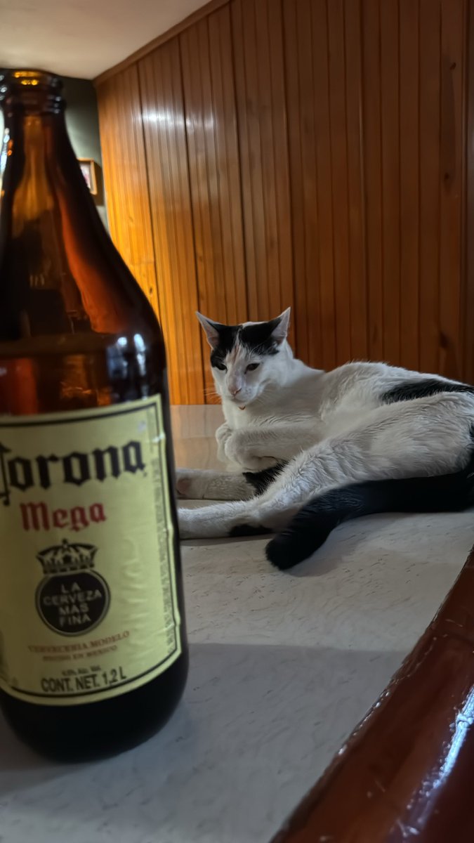 fermxngo's tweet photo. Maldita sea, te amo Fernando Pandor, te amo corona, los amo a ambos 😭😭🩷 https://t.co/aqpydU2Bnd