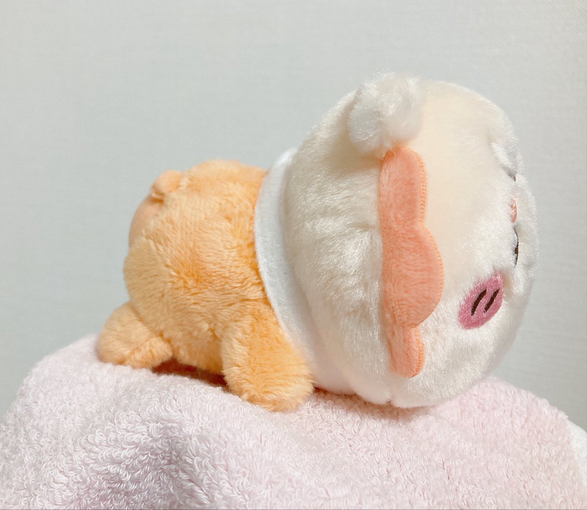 Shonbori_Waddle's tweet photo. 🍊「わにゃ…？わにゃ！！」
🦁「爆誕で〜す」 https://t.co/gANy9TPw6n