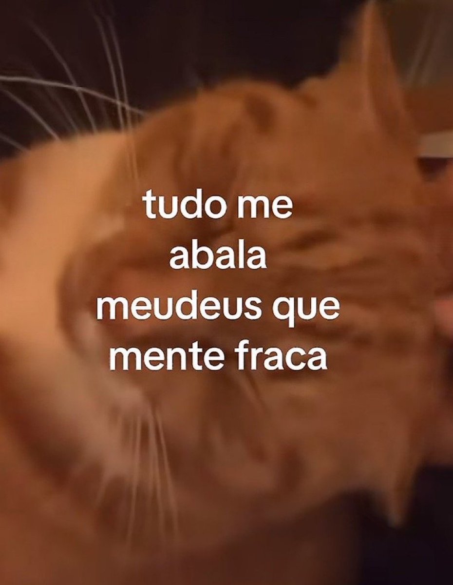 94WANGJ's tweet photo. Quase tudo é: quero desviver 😭 https://t.co/96EaXDxwJw