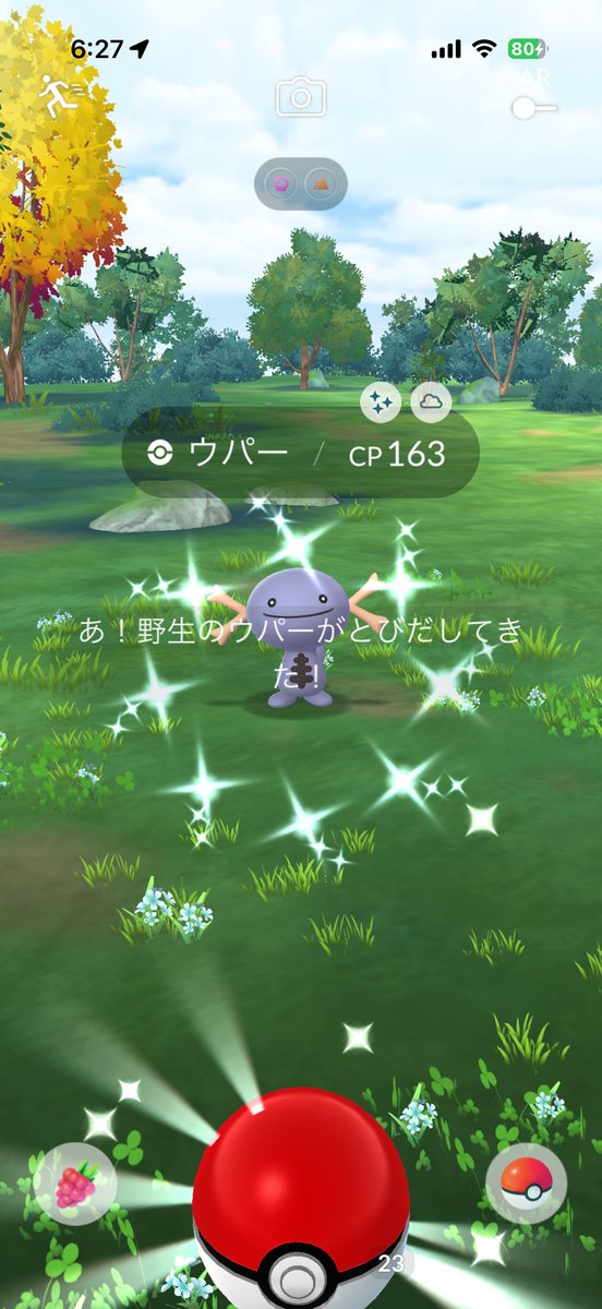 natsuBizarreSS's tweet photo. ウパーが光ったのでわーい！初めて！と喜んだけど初めてエフェクト出なくて？えー？見たことない色だけどな…と思ったらパルデアの子だった😳そういうことかー！
#ポケモンGO
#今日の色違い https://t.co/leA7PfxNTz