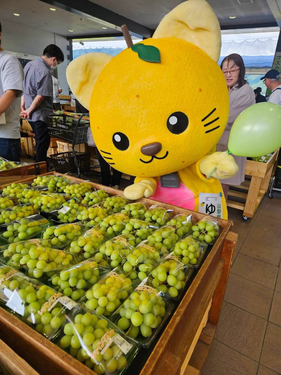 ゆずにゃん【山梨県富士川町】 on X: 
