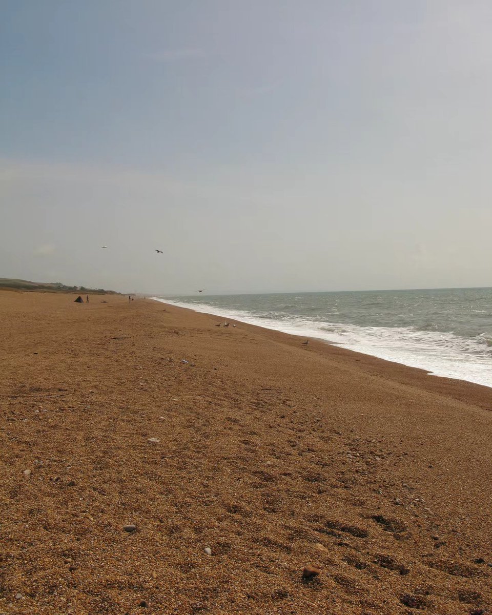 KarmaParrington's tweet photo. West Bexington Beach... sand https://t.co/kaxtATHxHF