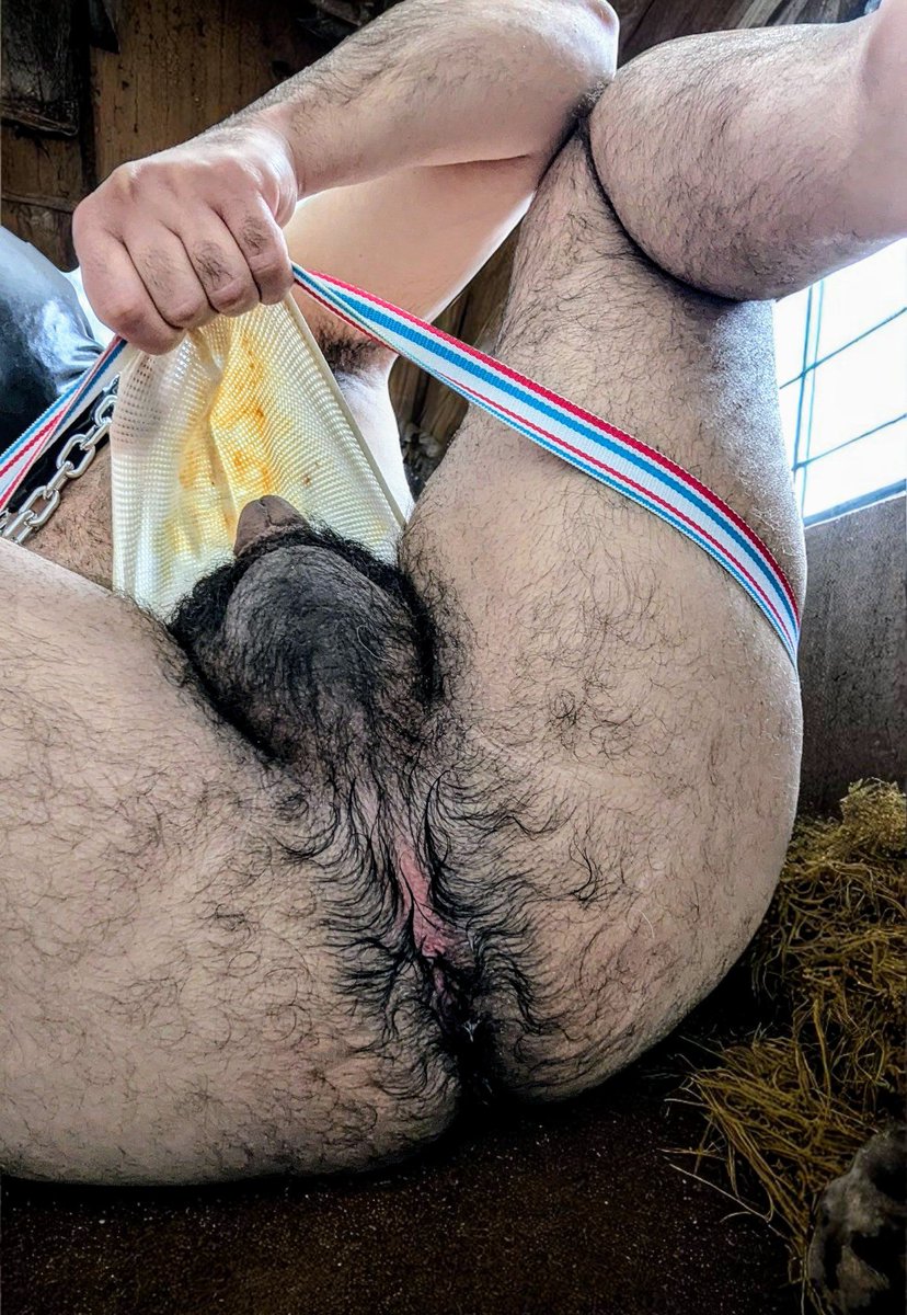 DirtyMindsRevue's tweet photo. Le samedi, c'est la journée des cochons chez Dirty Minds 🐷🍑♨️💦😍 Voilà un beau spécimen !
Saturdays are ‘Pig Days’ at Dirty Minds! Now that’s a fine specimen
#gaypig #pigmen #pigprod #gaytrash #trashboys #gaydirty #dirtymen #dirtyminds #trashundies #hairyass #hairyballs https://t.co/7JDh0F7en6