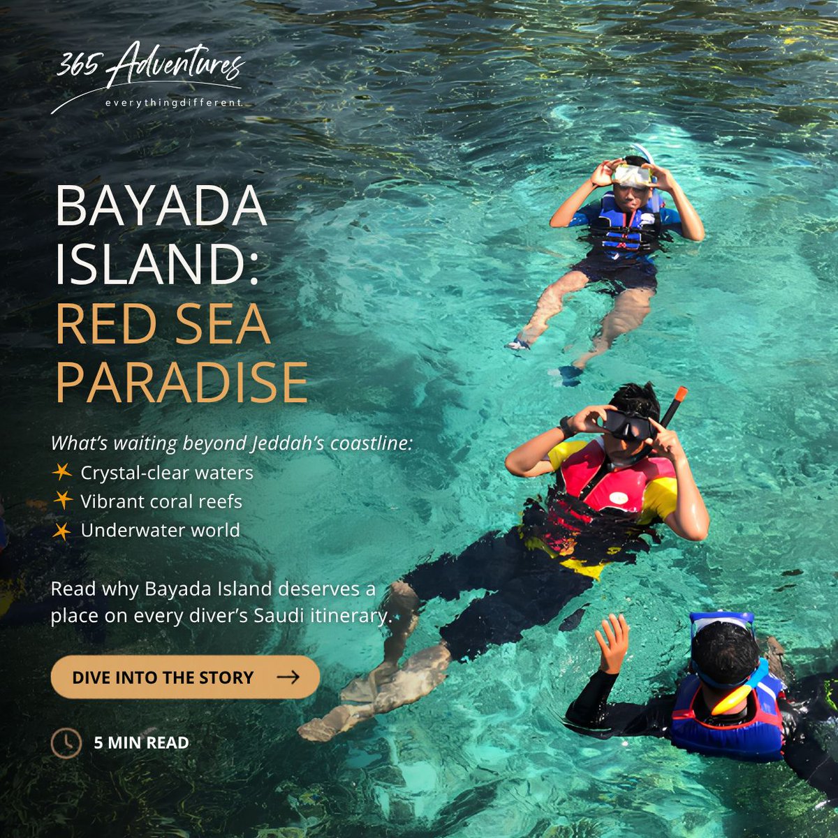 365adventures_'s tweet photo. Crystal-clear waters, vibrant reefs, and a hidden Red Sea escape just beyond Jeddah. Discover Bayada Island. 🌊 

https://t.co/RhlhJeWoCz 

#BayadaIsland #RedSea #SaudiArabia #365Adventures https://t.co/25qAqjxfBL