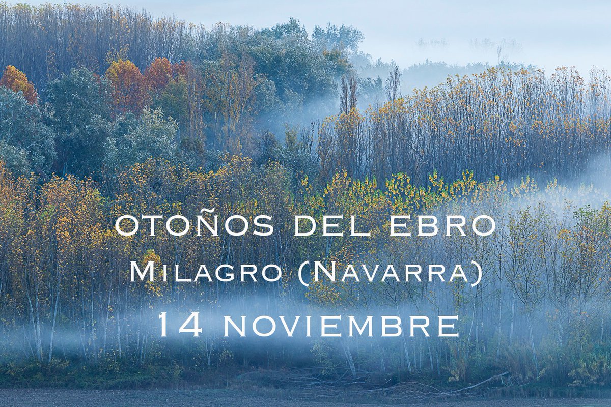 EBMFOTO's tweet photo. Como cada otoño, organizo diferentes actividades fotográficas ¿Cuál es tu destino preferido? Ya puedes apuntarte en mi web https://t.co/lvL4SiXPr6