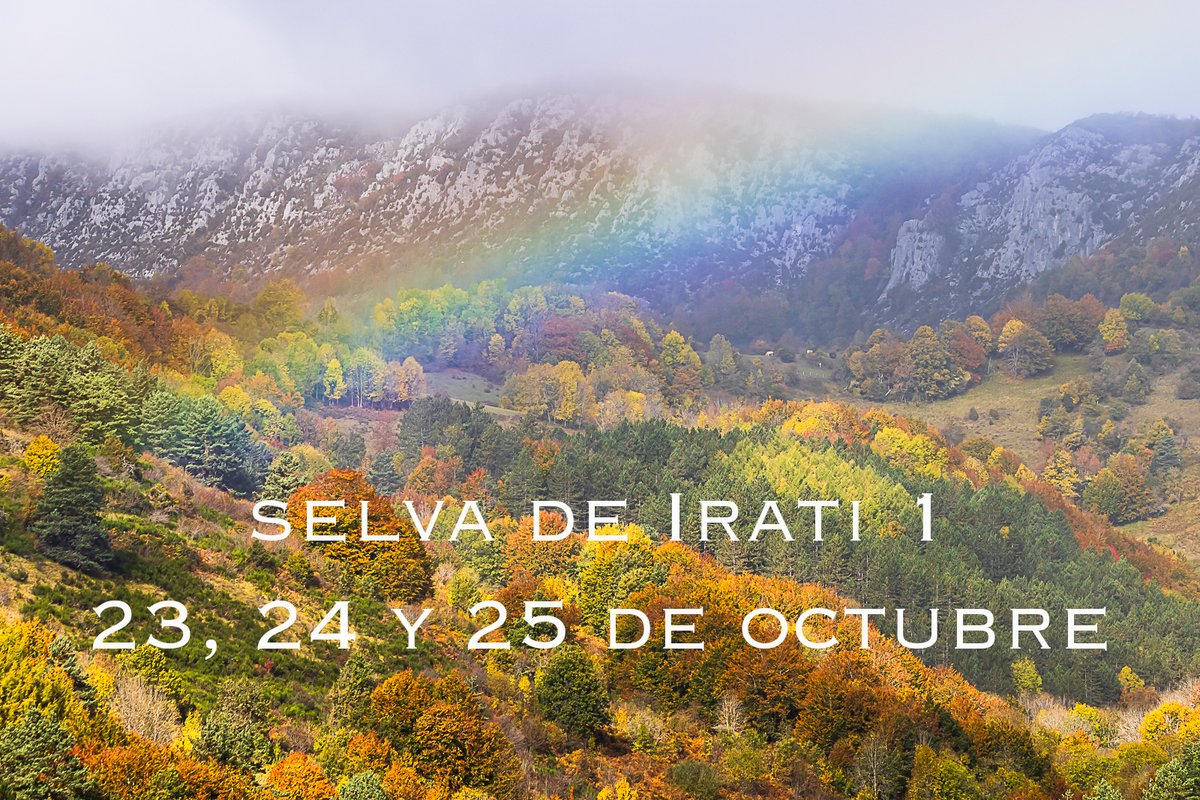 EBMFOTO's tweet photo. Como cada otoño, organizo diferentes actividades fotográficas ¿Cuál es tu destino preferido? Ya puedes apuntarte en mi web https://t.co/lvL4SiXPr6