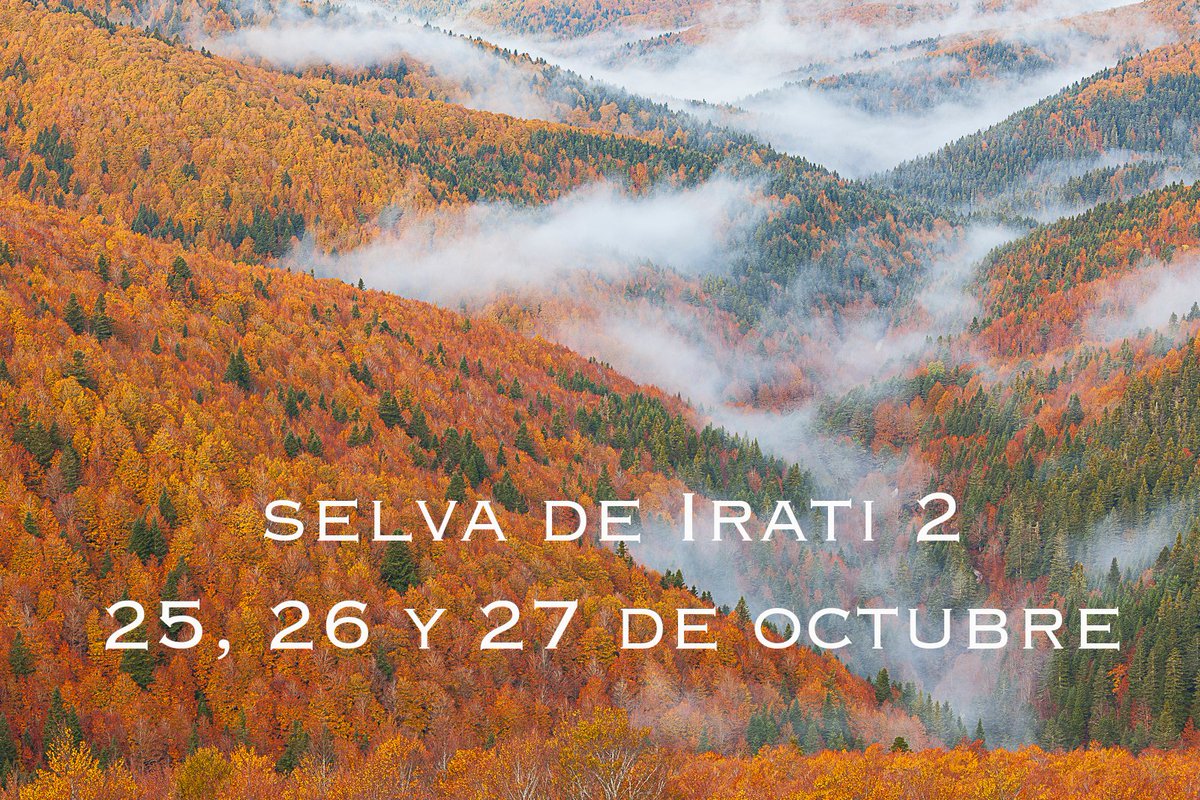 EBMFOTO's tweet photo. Como cada otoño, organizo diferentes actividades fotográficas ¿Cuál es tu destino preferido? Ya puedes apuntarte en mi web https://t.co/lvL4SiXPr6
