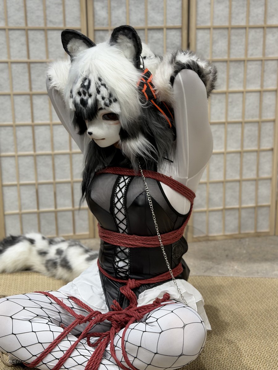 YaburiRuko's tweet photo. My first time Shibari 

Me : ห้าวคับเห็นคนลองแล้วสนใจ
Auro : เอาสิ 
Me : รู้สึก happy
Auro &amp; Rigger : ยินดีต้อนรับเข้าวงการ

หละจากนั้นยาววว ~

@lilythothealley https://t.co/YEENS1eyxa