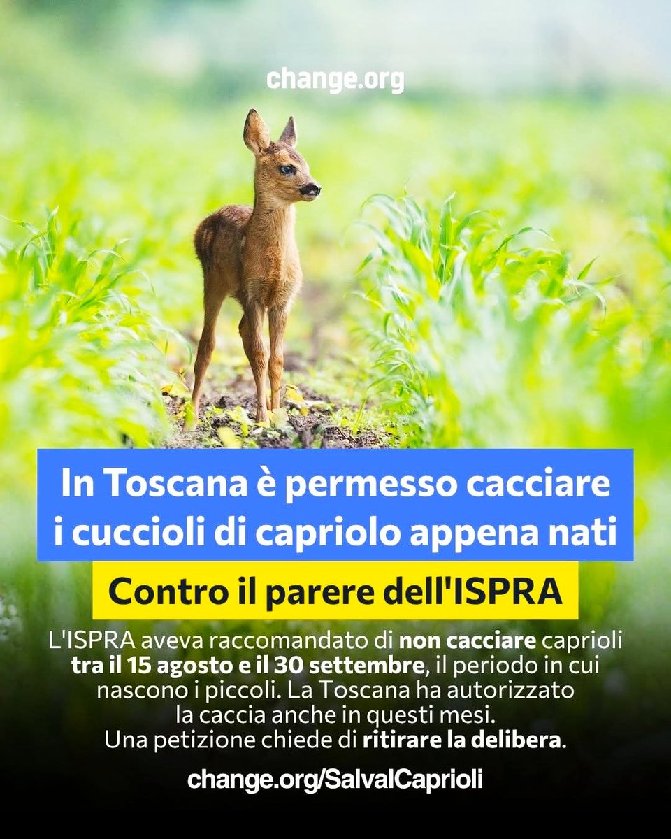 gianni_runco's tweet photo. È in atto una sfida tra le regioni italiane sulla caccia a chi fa più schifo. Vergogna Italia!  https://t.co/9jPKfiLzSO   @GiorgiaMeloni #Italia #ispra  #TutelaFauna #bracconaggio #faunaselvatica #crisiclimatica  #stopcacciaselvaggia #noddlsparatutto #biodiversità #animalrights https://t.co/abZVE9YjPv