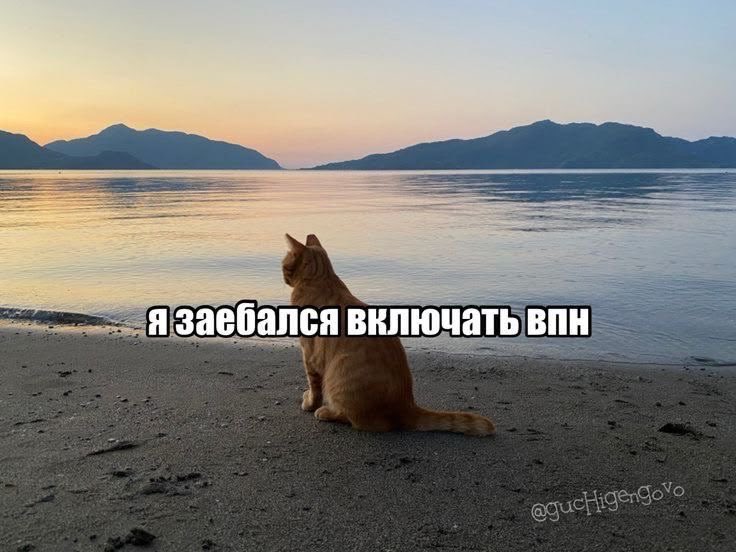 52ept's tweet photo. жизнь в россии https://t.co/PuwiMES8Se