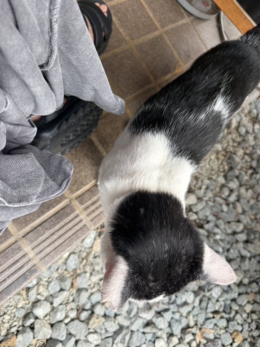 neko03a91's tweet photo. #道の駅はが  #ワンネス食堂
 #ジャパン峠プロジェクト  #峠ステッカー https://t.co/Ph1KZ5buSn