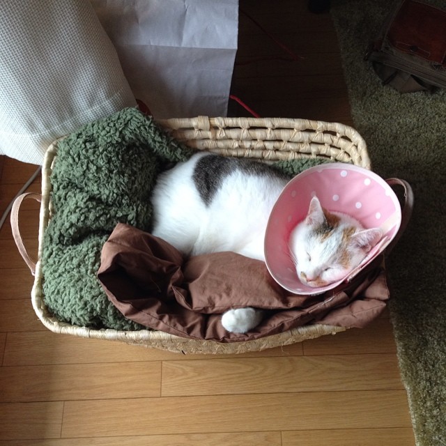 WinfordMatjb4h's tweet photo. 境界線が曖昧になる瞬間って少し怖いけれど、どこか救いでも��るような気がして、静かにその深みに沈んでいくだけの夜 🌙 https://t.co/Y14lz3SjTm