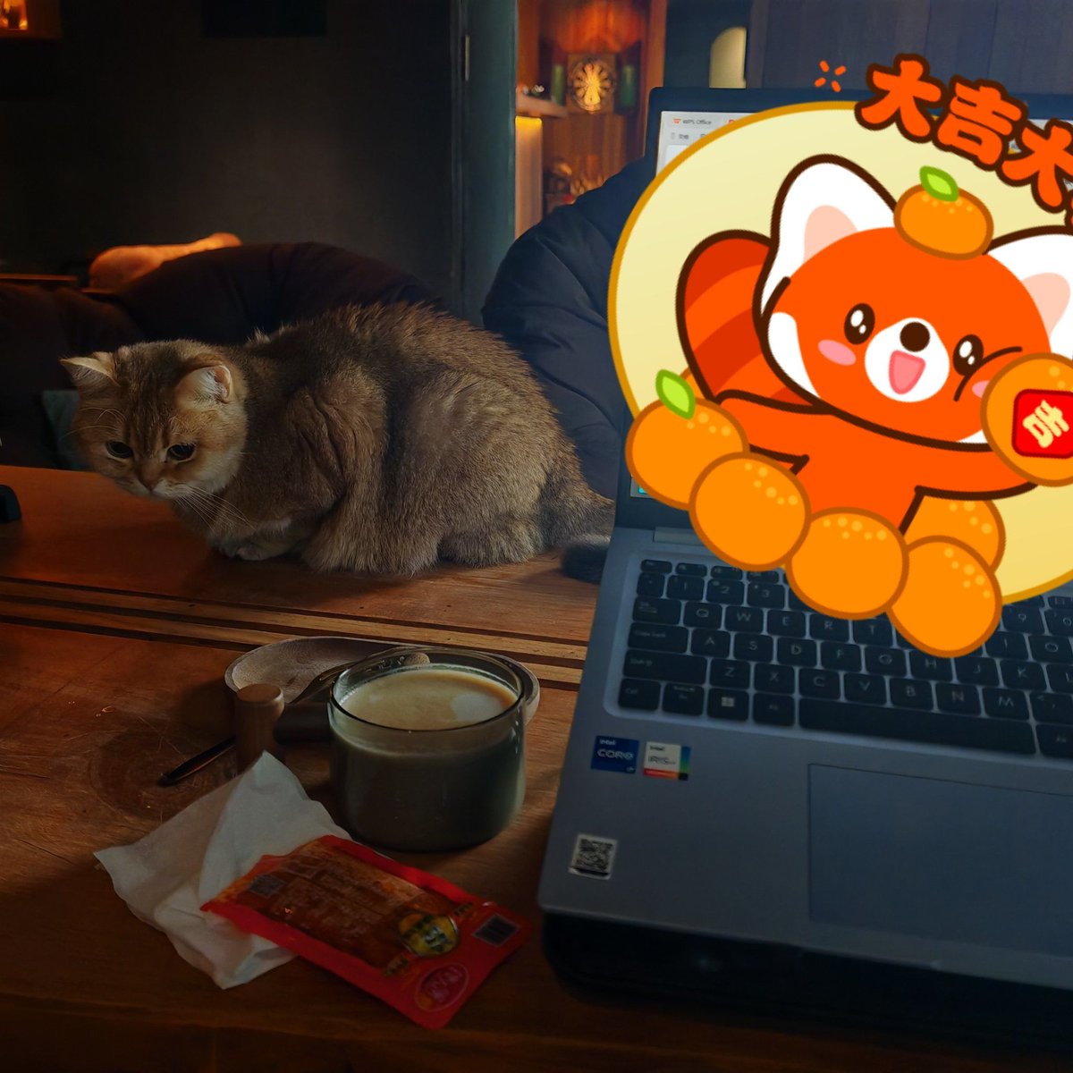 nibbo789899's tweet photo. Just hit 3 PM, desk lamp's dim, and my browser's 12th tab is still cat videos... Work can wait 5 more minutes. ， https://t.co/ggec0o89H8