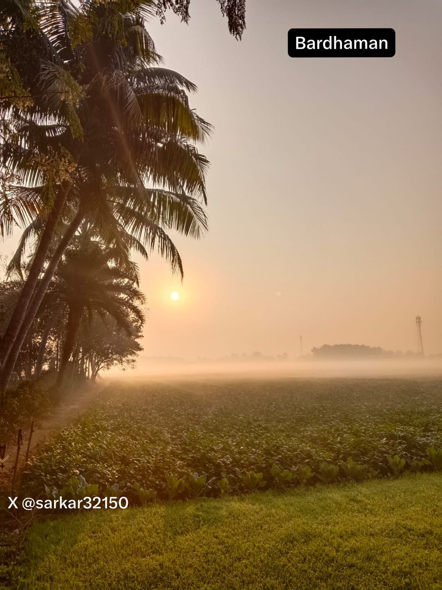 sarkar32150's tweet photo. Golden hour hits different in Bengal. 🇮🇳
No filter, no noise. Just fog, fields and first light.
This is the peace we all are searching for.
#Sunrise #GoldenHour #VillageLife #Bengal #NaturePhotography #MorningVibes #IncredibleIndia #Aesthetic #TravelIndia #ExploreBengal https://t.co/ksSWzYqbQd